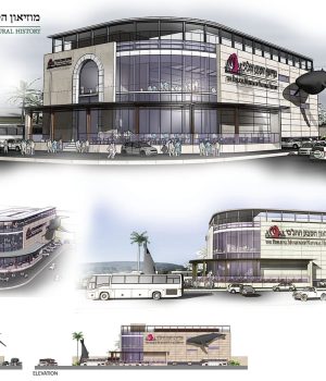 Biblical-Museum-of-Natural-History_final_print_museum_A3