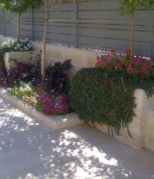 IMG-20130910-01630